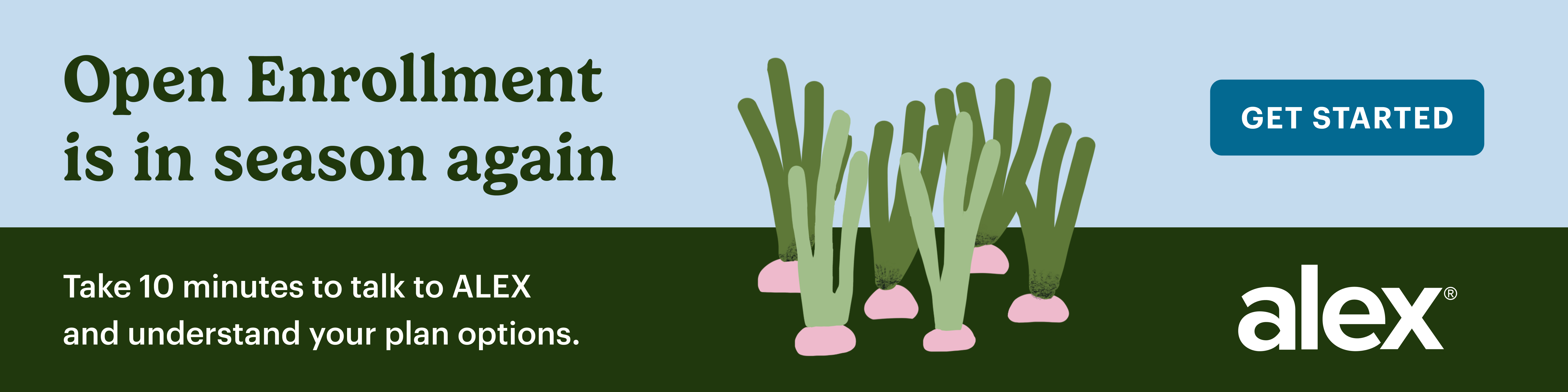 OE_Banner_Garden_V2.png
